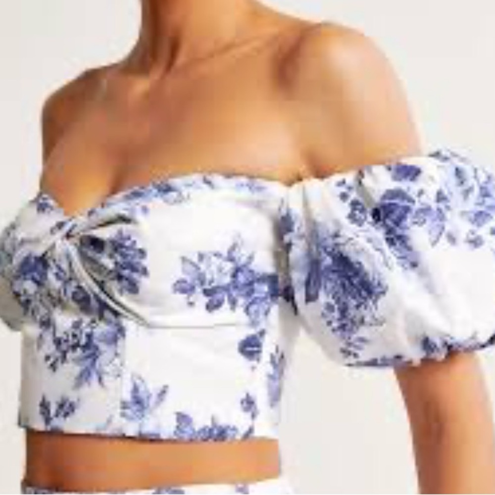 Abercrombie & Fitch Blue Floral Crop Top